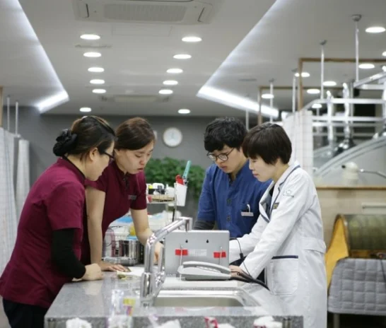 비만(습담형)다낭성난소증후군 여성의 자가배란을 돕는 한의학치료 [대전 다낭성난소증후군 유앤그린한의원]