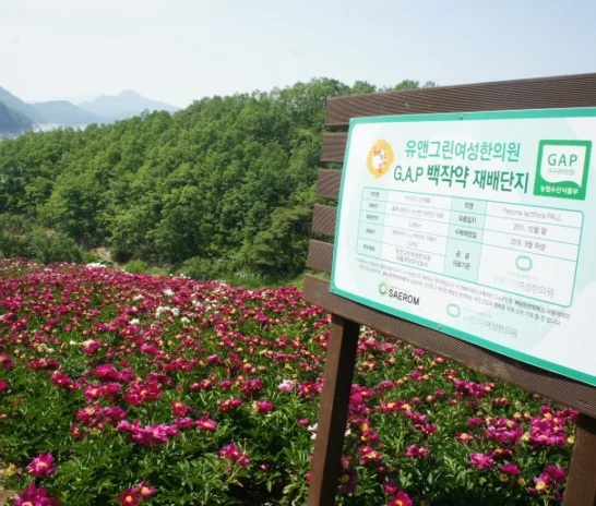 폐경기 비뇨생식기 증상이 삶에 질에 미치는 영향[대전유앤그린여성한의원]