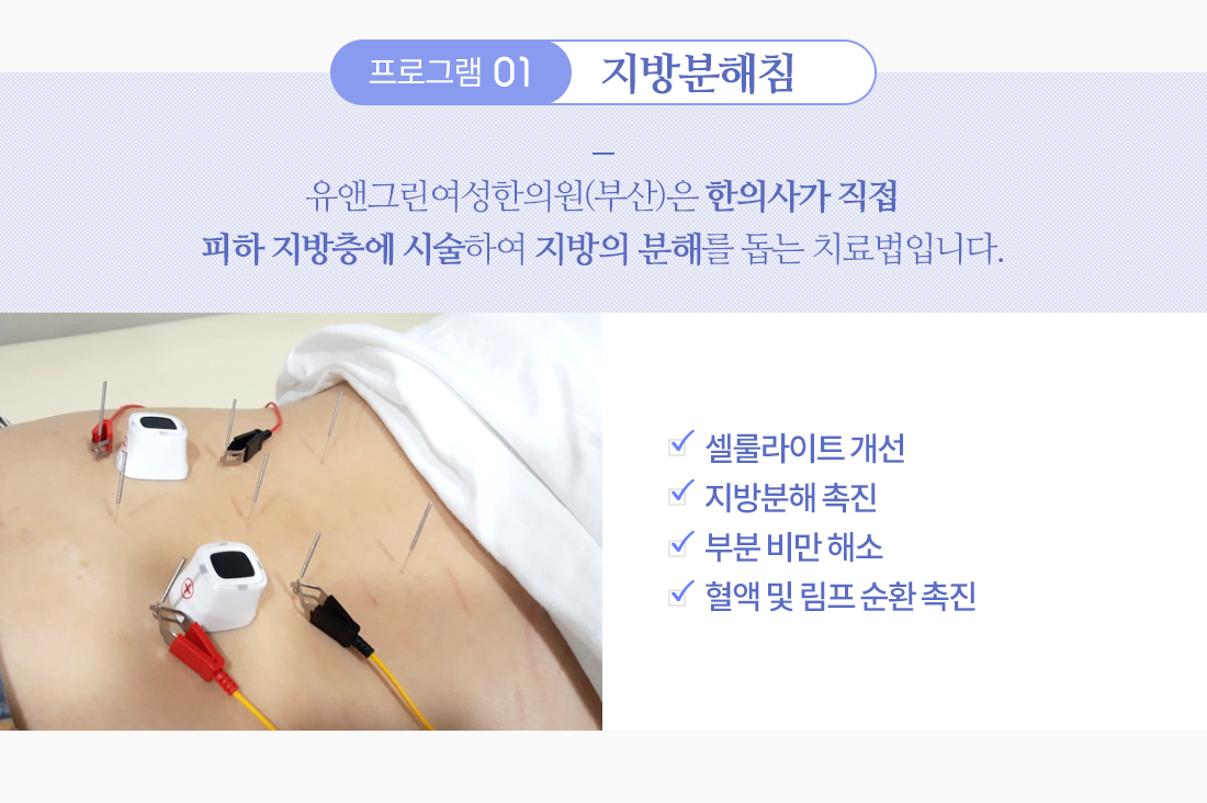 부산지방분해주사_덕천