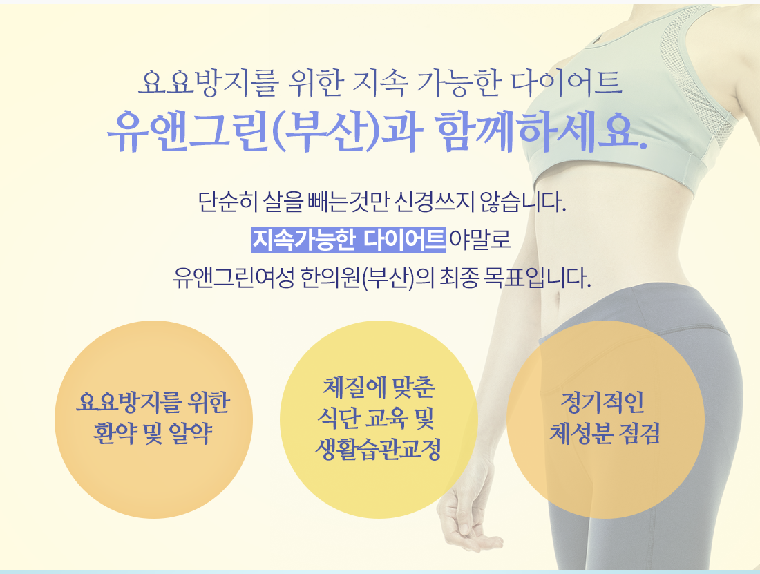 요요없는 다이어트한약 다이어트알약 식단 제안